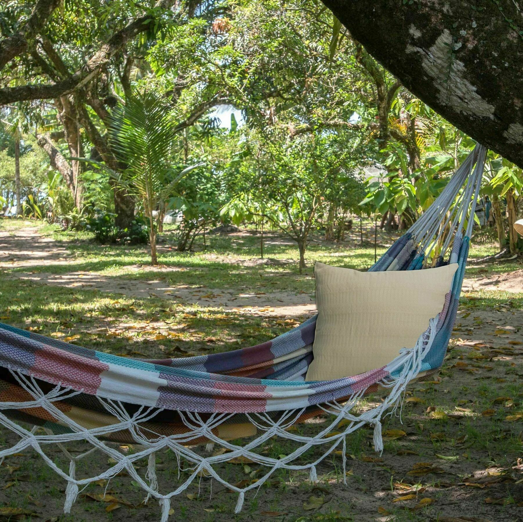 Htl Tubarao Hotel Barra Grande  Luaran gambar