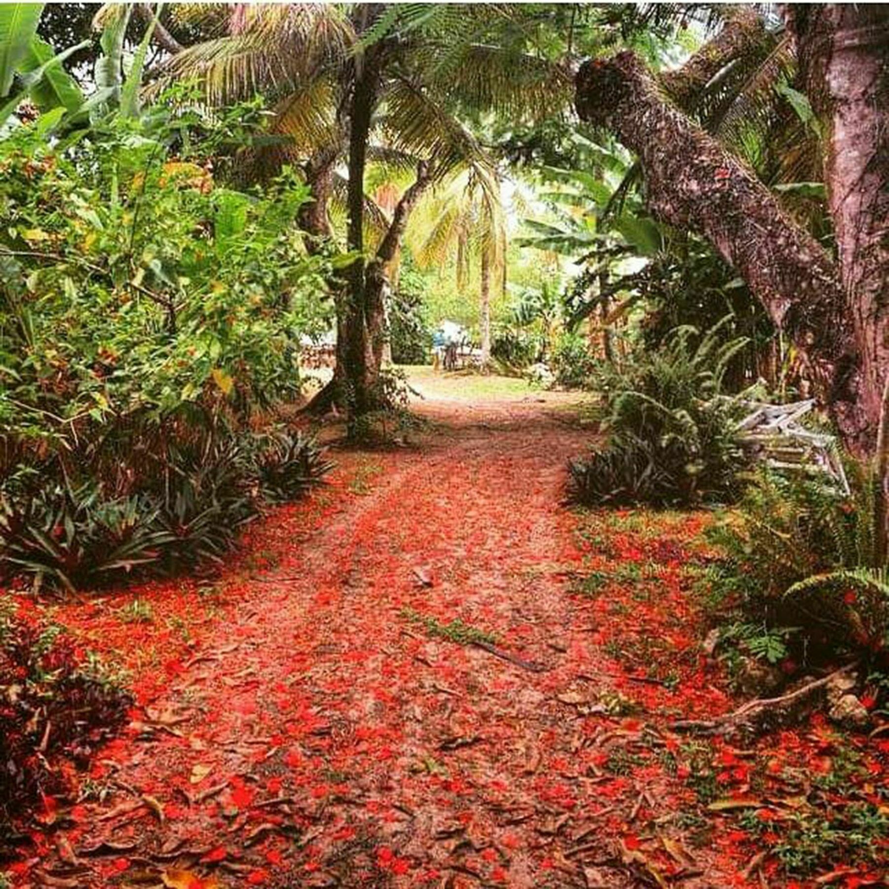Htl Tubarao Hotel Barra Grande  Luaran gambar